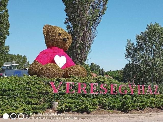 Mandi Apartman Veresegyház Εξωτερικό φωτογραφία