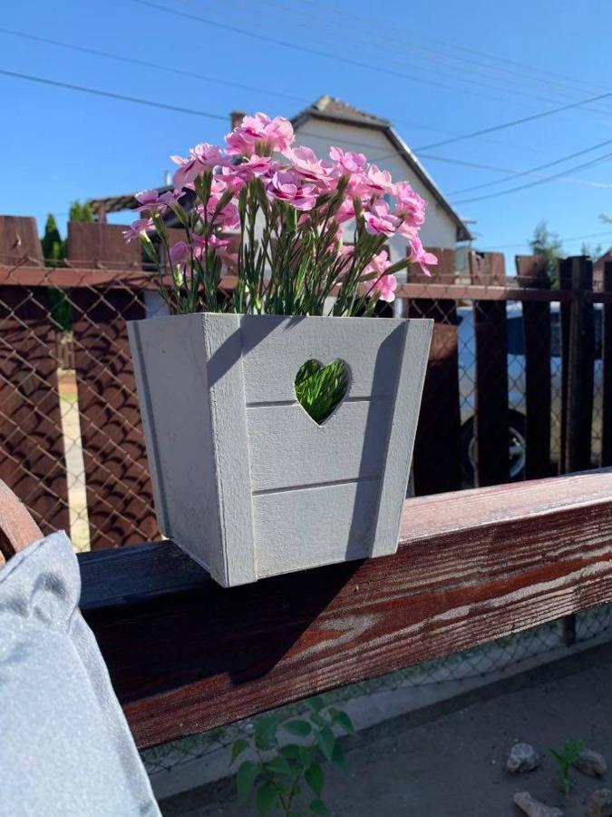 Mandi Apartman Veresegyház Εξωτερικό φωτογραφία